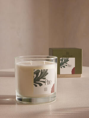 Limited Edition Bassett Pine Candle - 650g - Hover Image